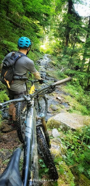 North Umpqua Trail: Dread and Terror Segment