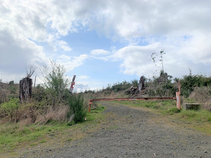 Teal Lake Access Road