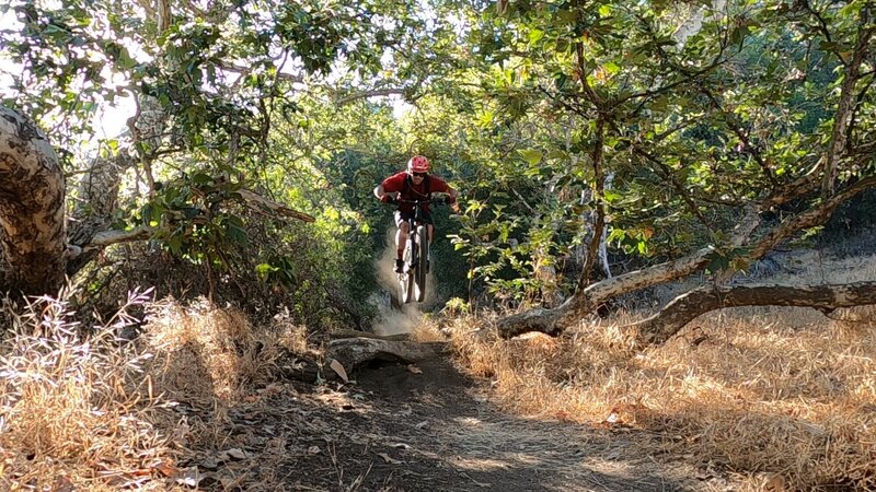 Jumping the Roots on Ripper MTB Trail. This is a still from a video I made: The best parts of Ladera Ranch 2022.
