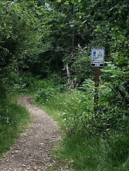 That One Trail