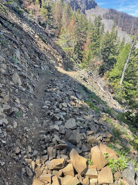 Little Bald Mountain Trail