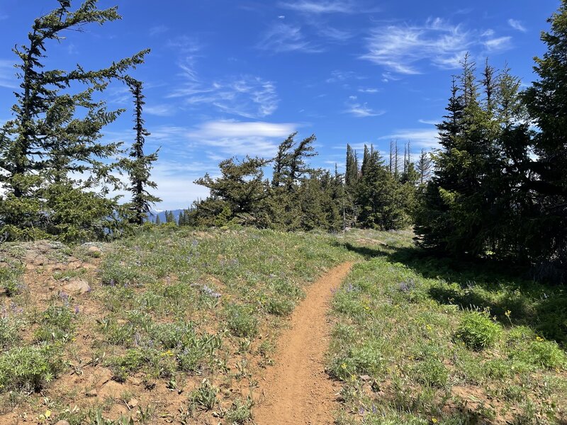 Lower Singletrack is Sweet!
