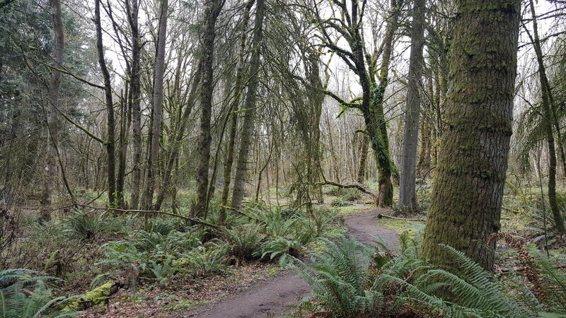 Stone Mill Loop.