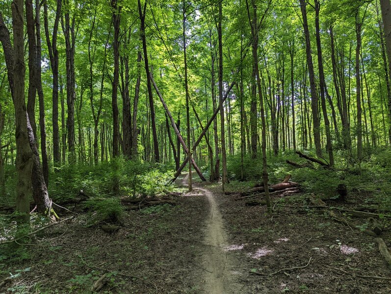 John Bryan State Park Mountain Bike Trail, Yellow Springs, Ohio