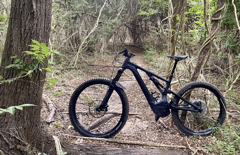 Loop Trail Monster Swamp Monster Area in the Outer Loop.