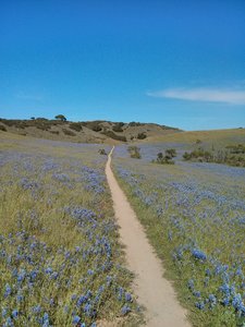 Fort Ord Mountain Biking Trail Map Mountain Bike Trails Near Fort Ord National Monument