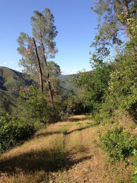 Buck Meadows, Lumsden Bridge and the Toulumne River