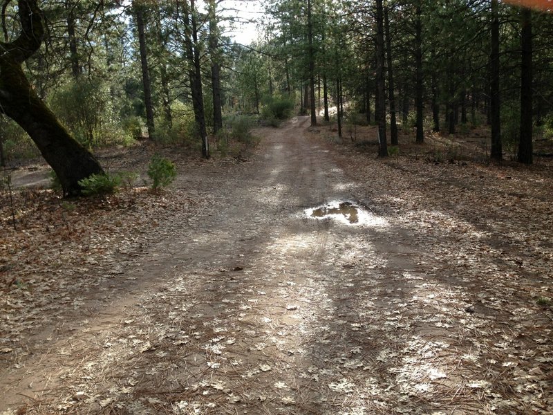 Groveland CA Ridge Trail
