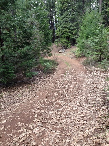 double track trail