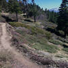 Mountain views and new singletrack on the Skyline Trail.