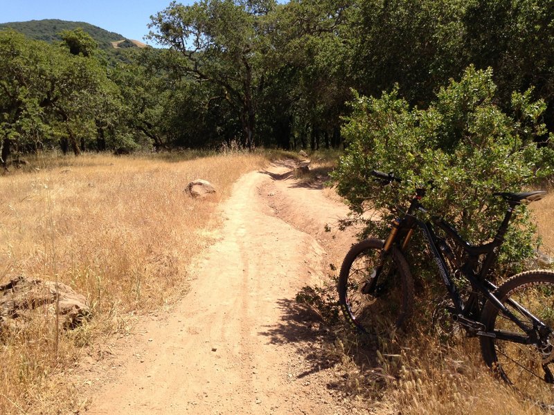 Erosion in places, especially on upcoming Ridge trail.