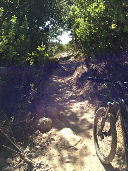 One of the climbs.