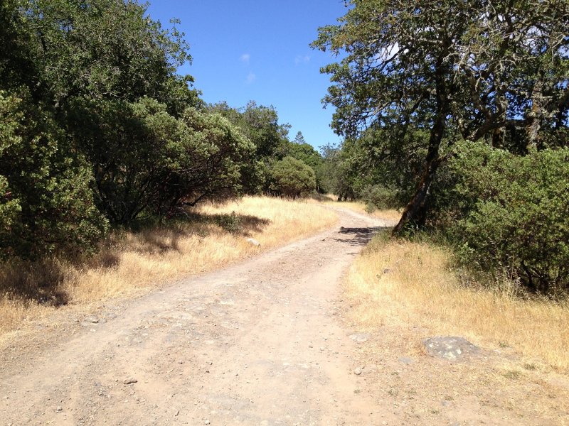 Lawndale Trail