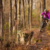 The Doc Smith trail features beautiful sections of hardwoods and rock cliffs.