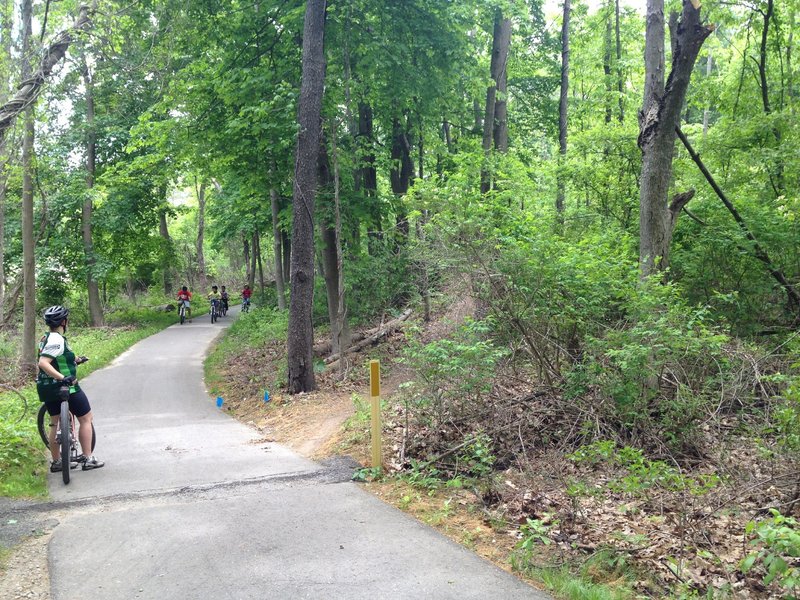 End of singletrack trail, with pavement leading out to trailhead and parking, and short connector trail on the right leading back out for another lap.