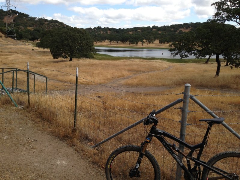 The "lake" at the bottom of Rock Garden