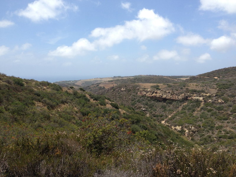 Crystal Cove Singletrack Sampler