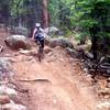 Fun smooth trail with occasional rocks & roots
