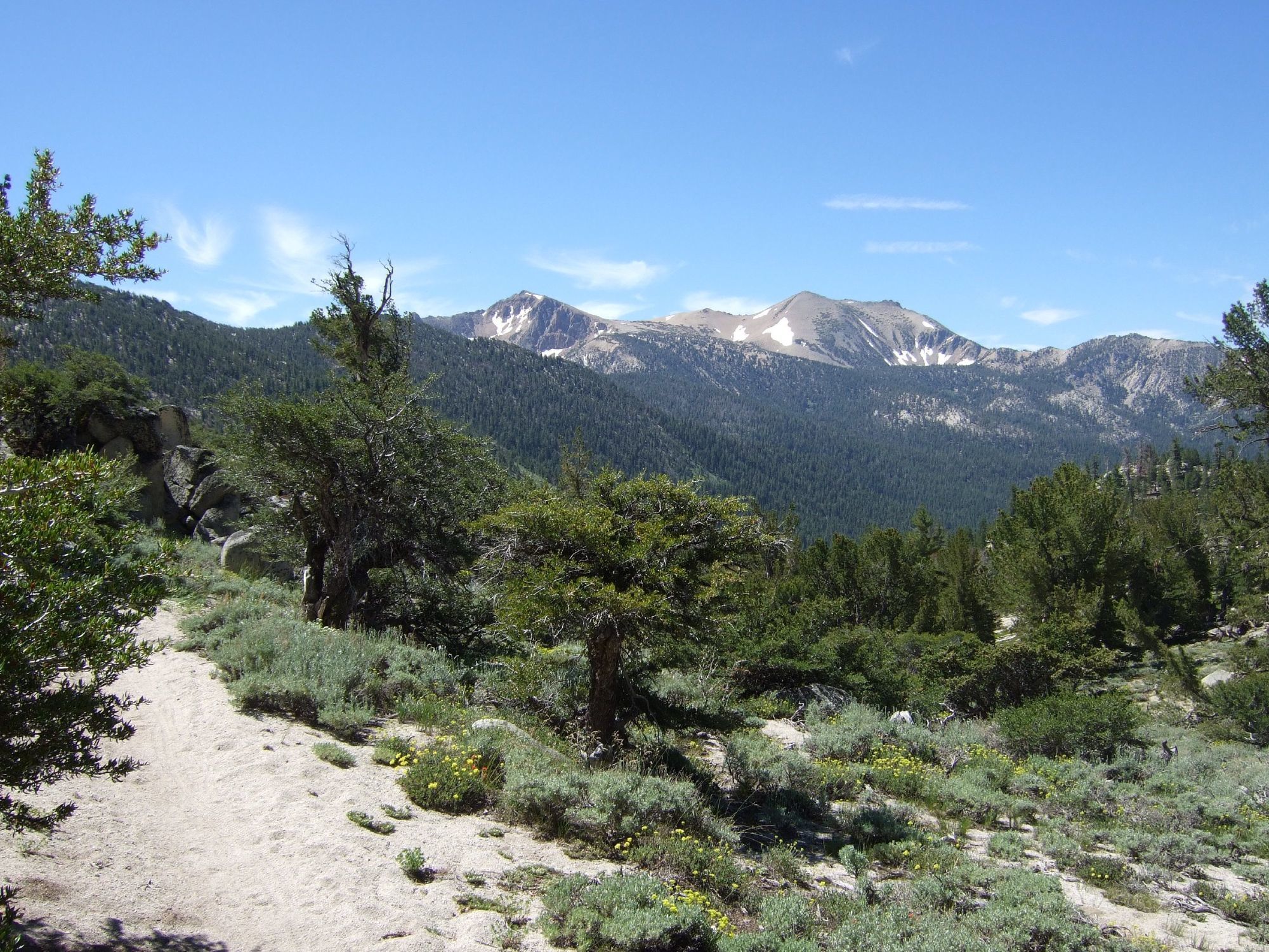 Freel Peak from Monument Pass