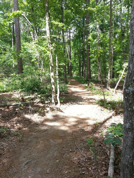 midlands mountain biking