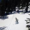 Nice open trees with a consistent angle make this a great zone!