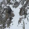 Skiing the "Beast Chute" in Lick Creek Range, just below the crux.  Note the "shark fins" in the exit.