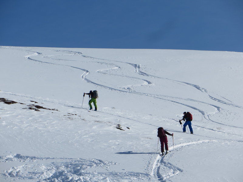 Skiers head up the skin track for another lap in springtime conditions. Even when avalanche conditions are high, this area has some great low angle skiing!