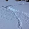 One of the decent lines off of Gold Hill near tree line on a particularly nice morning.