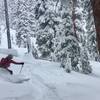 Allie tearing up the Christmas pow!