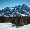The view of Mt. Crested Butte from the meadow on Snodgrass is sublime.