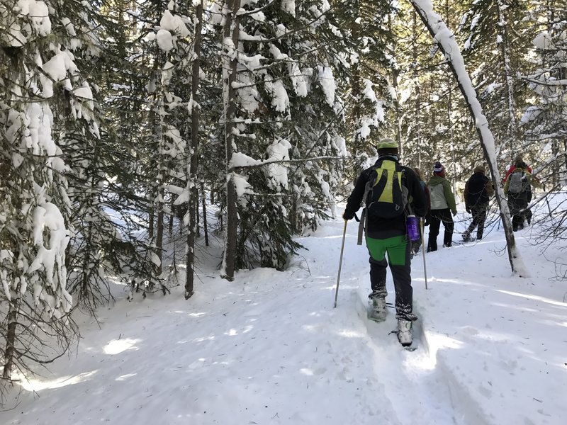 Heading along through the fresh-fallen snow on the Red Mountain Trail.