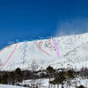 This is a view of the Patroller's Wall from the Serpentine Hut. Lines are marked in red, uphill routes marked in blue, and the limit of the zone open to skiing is marked in purple.