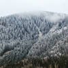 Autumn snow on Longhorn