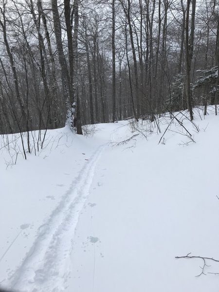 Deep snow on the hike