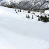 Looking down/across rice Bowl from just below the cornice line.