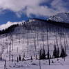 View of Mineral Mountain North Side Burn, looking SW from Sheep Creek, at the bottom of the ski lines