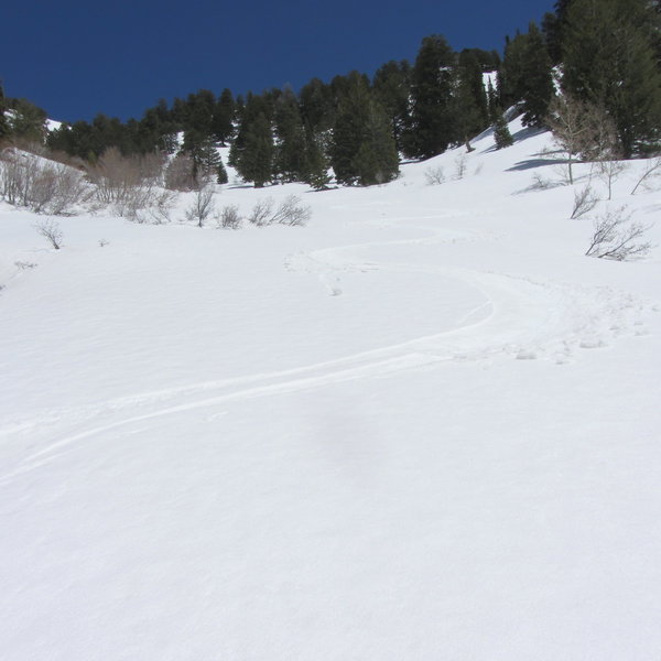 My ski tracks down the second half of Session's Peak Run.
