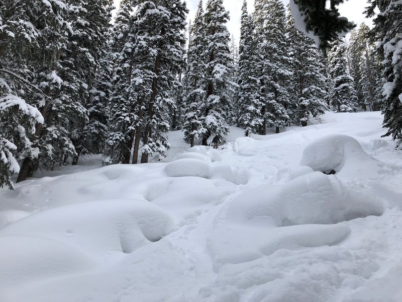 This picture shows the easy pillow line at Zero Creek. Up trail, it's just left in the trees.