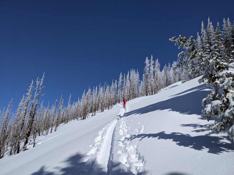 Platinum Peak SW Face Ascent Ski Ascent, Greenwater, Washington