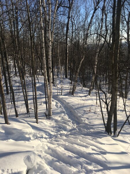 See the snow shoe trail then take a right just after the first little pitch.