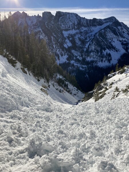 Avalanche debris in the gully