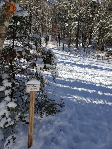 White Rabbit Ski Trail Sign.